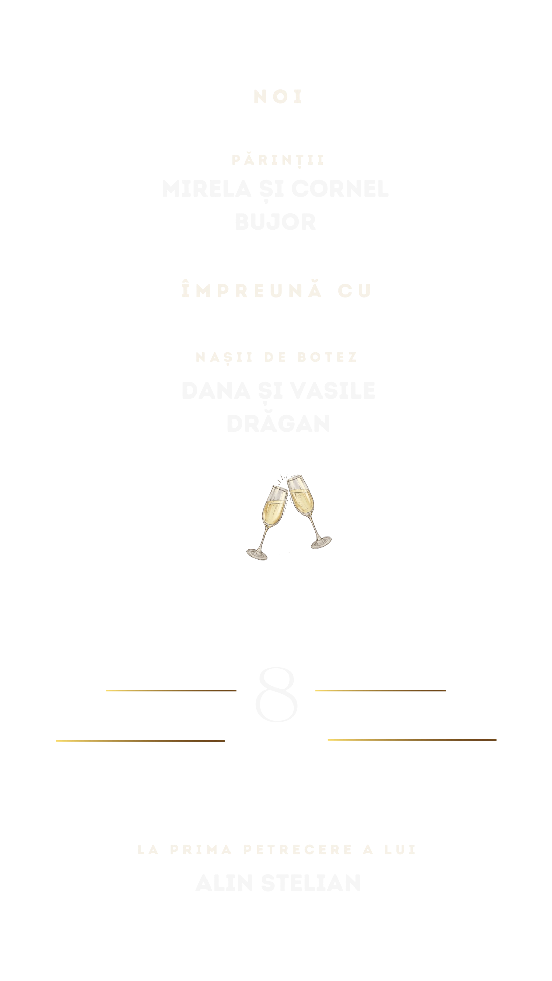 PETRECEERE DE BOTEZ ALIN STELIAN - 08.11.2025